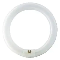 Osram T9 Lumilux Circline 32W - 840 Koel Wit | 30cm