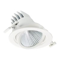 Philips LED Spot LuxSpace Accent Performance RS781B 31.5W 3900lm 36D - 830 Warm Wit | 170mm 