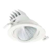Philips LED Spot LuxSpace Accent Performance RS781B 29.5W 3850lm 36D - 830 Warm Wit | 170mm - Dali Dimbaar