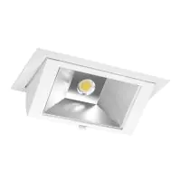 LED Downlight Wallwasher Wally Maxi Wit 46W 6300lm 70x75D - 830 Warm Wit 