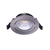 Noxion LED Kantelbaar Slim Spot Zilver Rond 6W 550lm 60D - 927 Zeer Warm Wit | 85mm - IP54 - Dimbaar - Beste Kleurweergave
