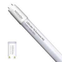 Noxion LED Buis T8 Avant Extreme (EM/Mains) High Output 13W 2100lm - 865 Daglicht | 120cm - Vervangt 36W