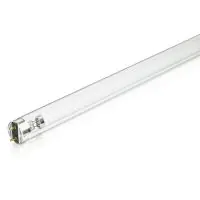 Philips T8 UV - C 36W - Ultraviolet | 120cm